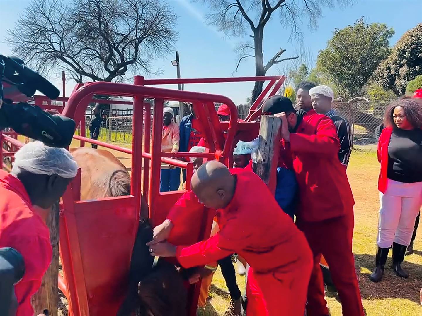 in hot water The National Society for the Prevention of Cruelty to Animals wants EFF leader Julius Malema to be prosecuted for cruelty to animals