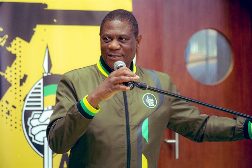 ANC deputy president Paul Mashatile. (ANC/X)