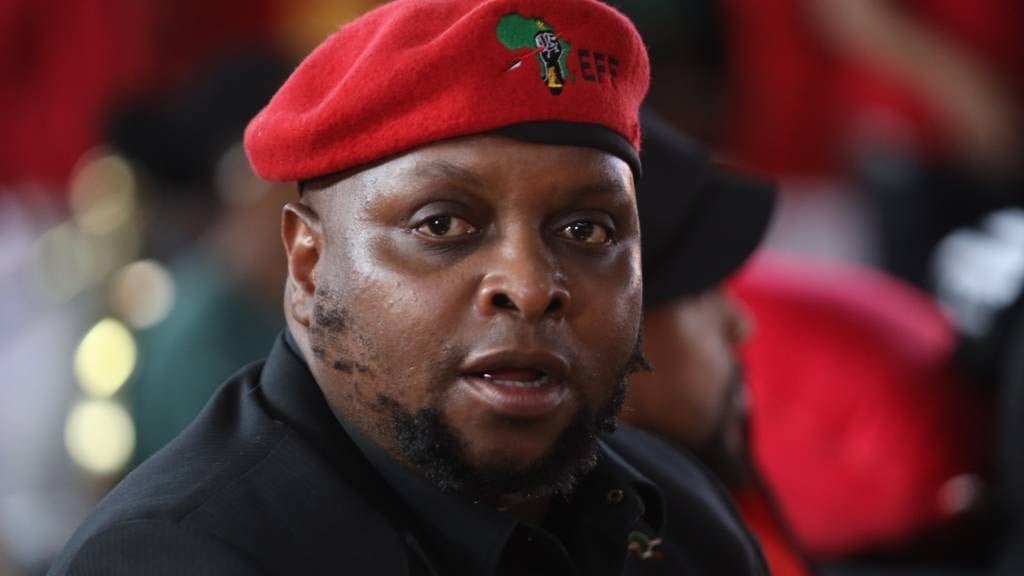 Floyd Shivambu. (Sharon Seretlo/Gallo Images)