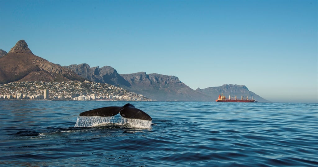 South Africa has plenty of local attractions that will keep your mind off the impending reality of a nine-to-five.