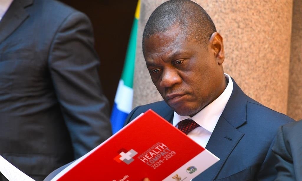 After collapsing during speech, Mashatile is ‘in good health’, according to his office | News24