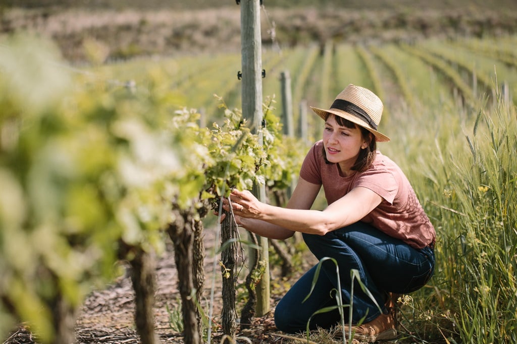 Life | 'Winemaking completes me': Sustainability-focused Saurwein Wines unveil new vintages