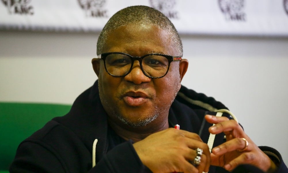 ANC fact-finding mission: Internal squabbles, sleeper agents, governance flaws led to Gauteng loss | News24