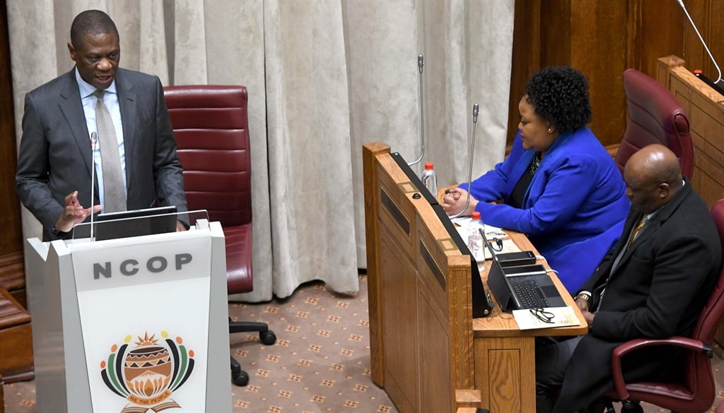 Deputy President Paul Mashatile addressing the NCOP on Wednesday. (PresidencyZA/X)