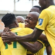 Bafana Bafana - Figure 1