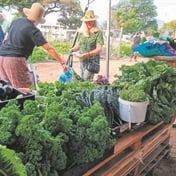 A neglected corner in Plumstead is now a flourishing vegetable garden thanks to volunteers