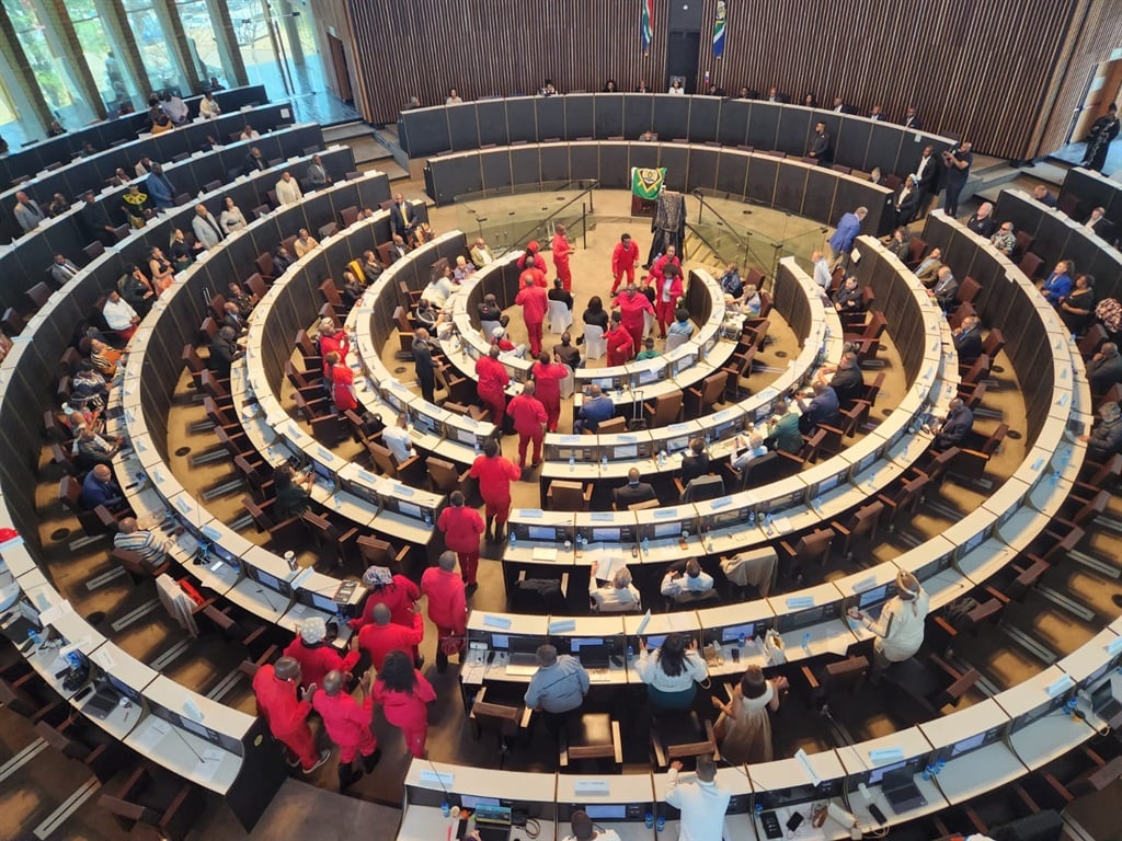 EFF Johannesburg caucus members celebrate the life of Moshe Mphahlele, who was killed during a protest in Alexandra last month. (Alex Patrick/News24)