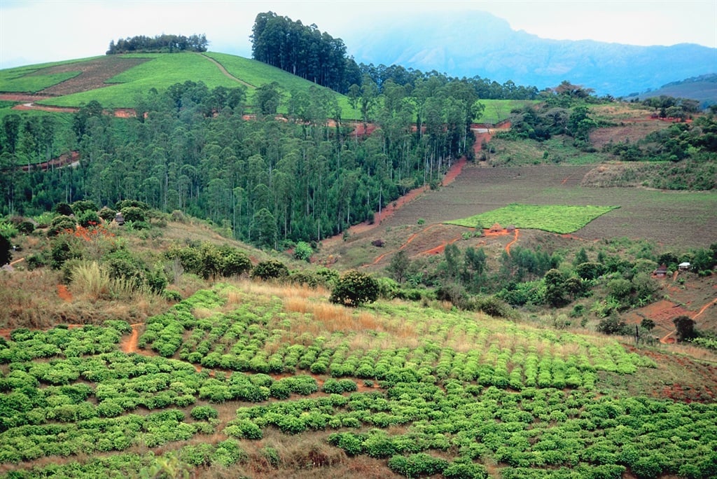 Farm land in Zimbabwe. (Jupiterimages/ Getty Images)