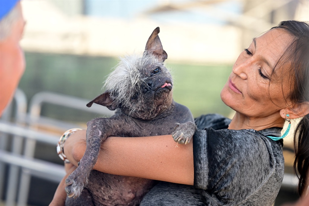 Jeneda Benally introduces her dog, Mr Happy Face to a judge during the World's Ugliest Dog Competition in Petaluma, California. Mr Happy Face, a 17-year-old Chinese Crested, saved from a hoarder's house, won the competition taking home the $1500 prize. (Photo: Josh Edelson/AFP)