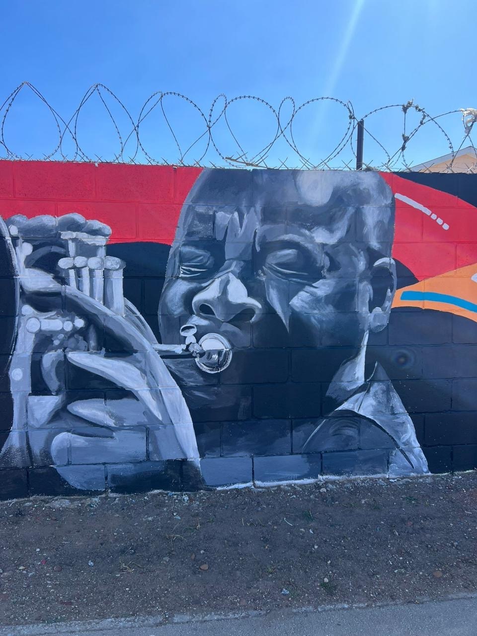 Pics: Young artists turn kasi walls into monuments! | Daily Sun