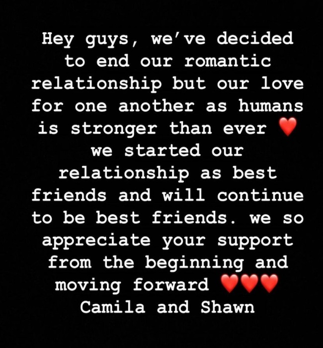 Shawn and Camilla announce their break up via inst