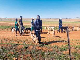 Hondejagters wat vroeër in Mpumalanga betrap is. Limpopo-­boere is raadop met dié soort misdaad. FOTO: VERSKAF