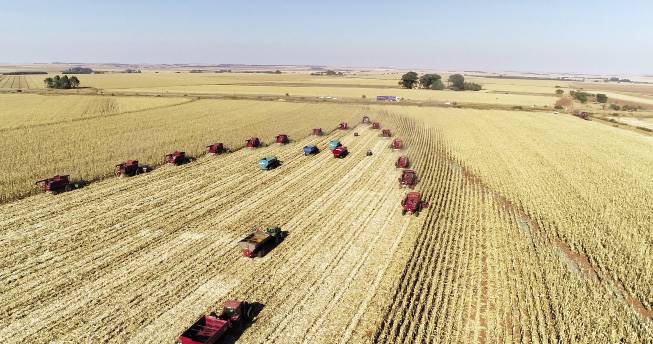 Fyn bestuur van Suid-Afrika se graanvoorrade is onontbeerlik om te verseker dat genoeg graan vir plaaslike verbruik behoue bly te midde van uitvoer. FOTO: BRAND REPUBLIC