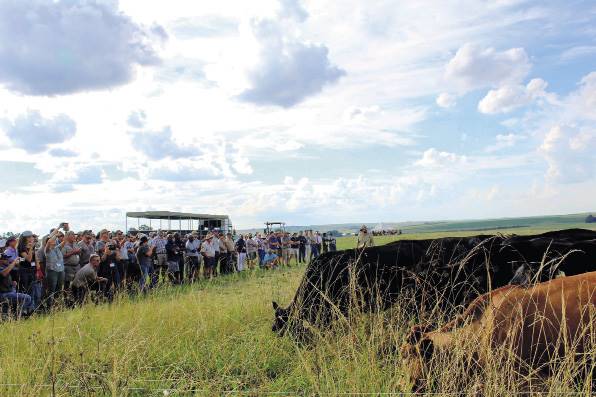 Drakensbergers wat vir ultrahoëdrukbeweiding by Reitz aangewend word, by ’n velddemonstrasie tydens die eerste van die drie herlewingslandboukonferensies van Landbouweekblad. FOTO: VIDA BOOYSEN