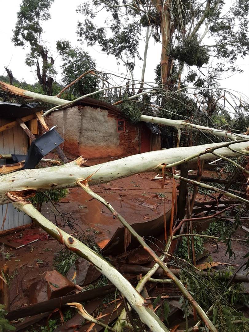 Beberapa rumah hancur karena pohon tumbang di Howick, KZN