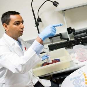 Research and Development Engineer Avinash Eranki examines a donated placenta as researchers are working to create a 3D bioprinted version to study preeclampsia at Children's National Medical Center, in Washington, Wednesday, June 15, 2016.