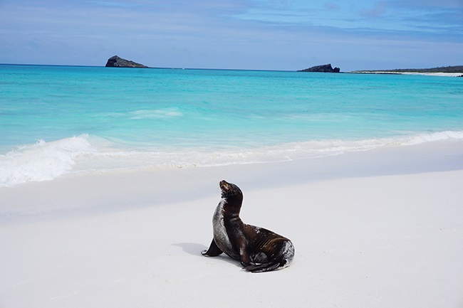 A beach in Galapagos, Ecuador. (Photo: Getty Images)
