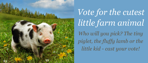 Vote for the cutest little farm animal | Parent24