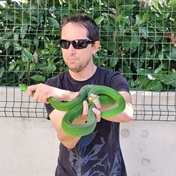 PICS | Durban's 'snake man' catches green mamba near day hospital, relocates it to coastal habitat