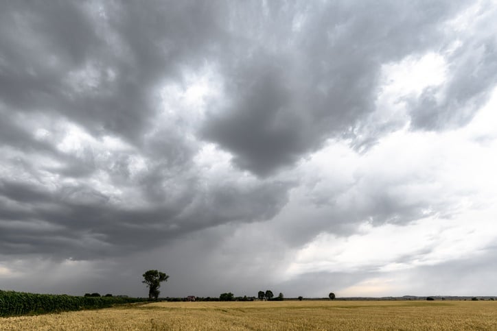 A warning has been released by the South African Weather Service (SAWS) for disruptive rain in parts of the Free State, Gauteng, Mpumalanga and Limpopo on Monday.