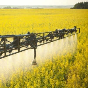Spraying pesticides - iStock
