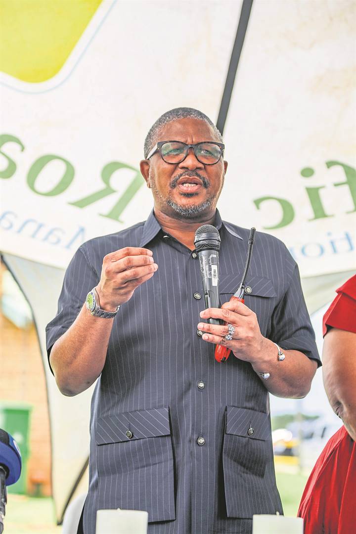 Fikile Mbalula said the ANC’s original statements were circulated by the party’s media platforms only. Photo by Gallo Images