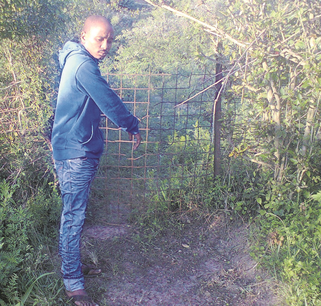Sphephelo Dlamini points to the spot in his garden where he believes the muthi is planted.        Photo by      Nqubeko        Yengwa 