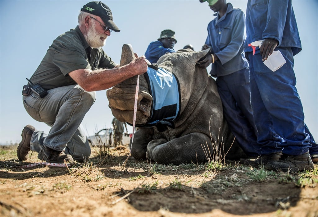 A rhino gets a short of anaesthetics before its horn is removed at John Hume's farm in 2016.