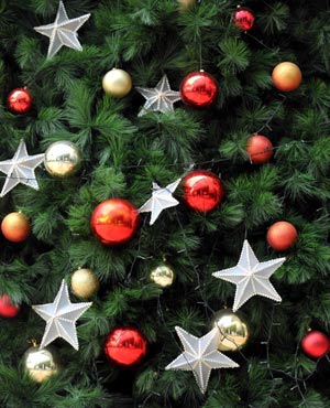 Christmas tree (File, AFP)