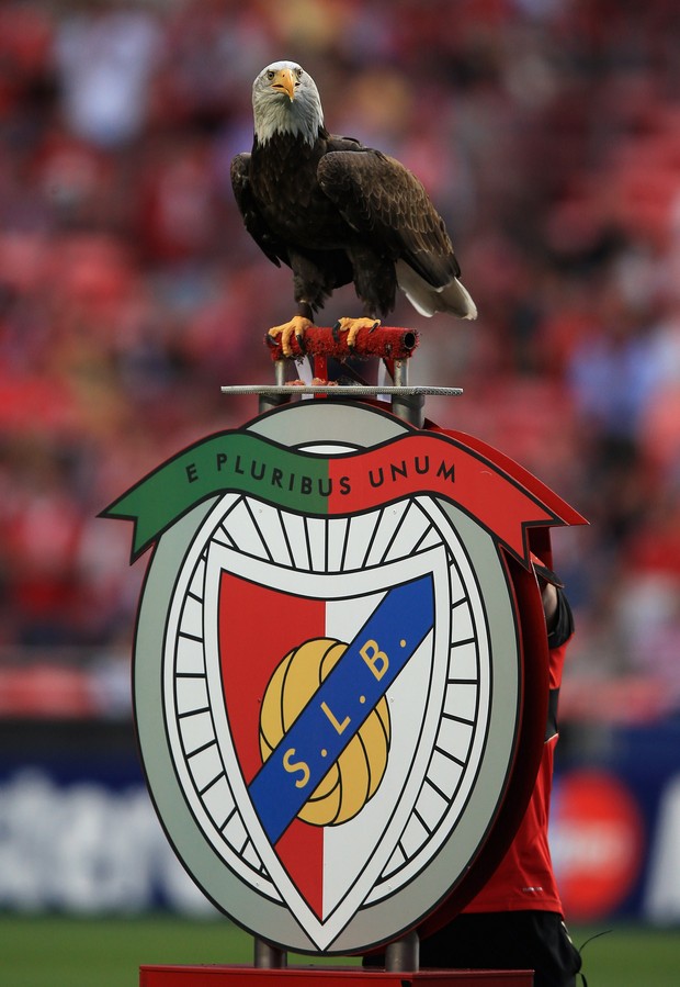 Quarter-final - Benfica v Chelsea | Sport24