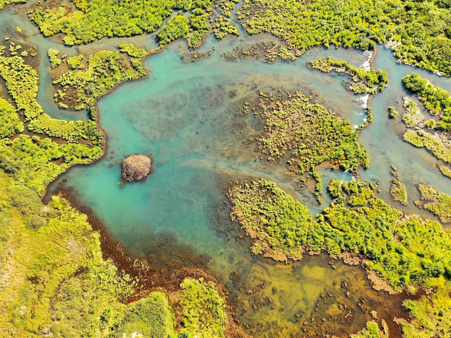Aerial photos show 11,000 beavers ravaging Alaska's tundra like wildfires.