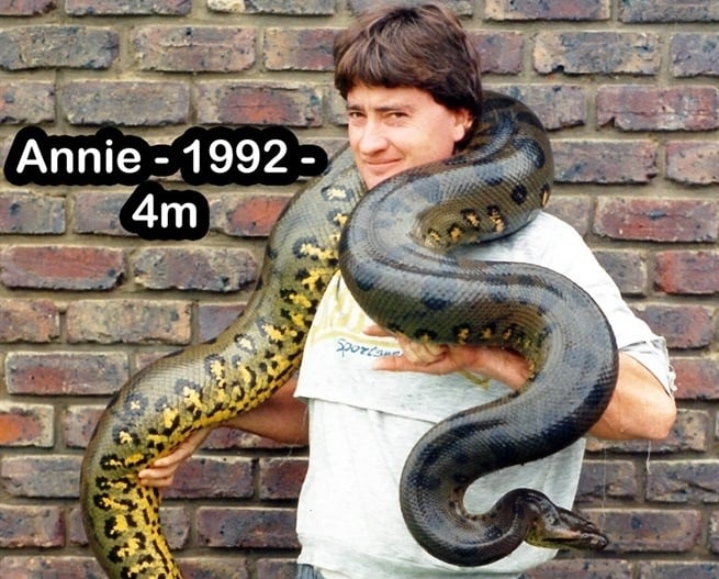 guinness world records biggest snake