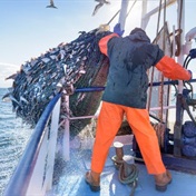 Brimstone declares dividend as Sea Harvest, Oceana post jump in profits 