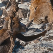 John Kani shines as wise Rafiki in Mufasa: The Lion King remake