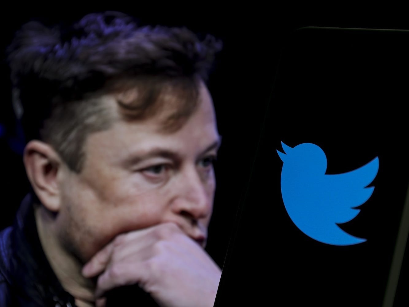 Since buying Twitter last year for $44 billion, Elon Musk has fired thousands of employees. 