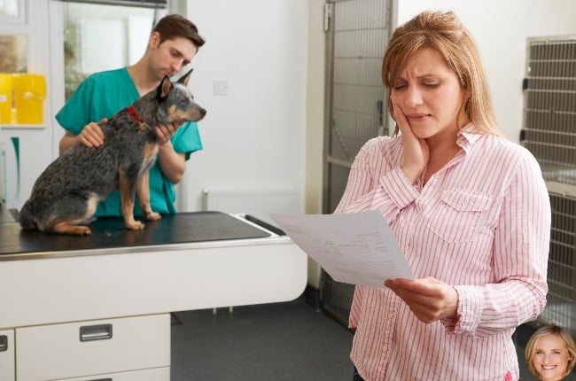 YOUR MONEY | 10 questions about pet insurance | You