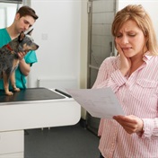 YOUR MONEY | 10 questions about pet insurance