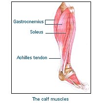 Calf muscle strain in rugby