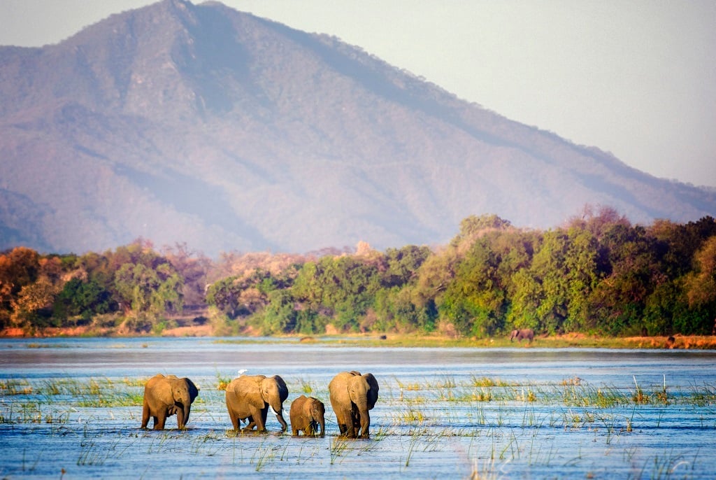 Mana Pools, is designated a World Heritage Site by the United Nations Educational, Scientific and Cultural Organization.
