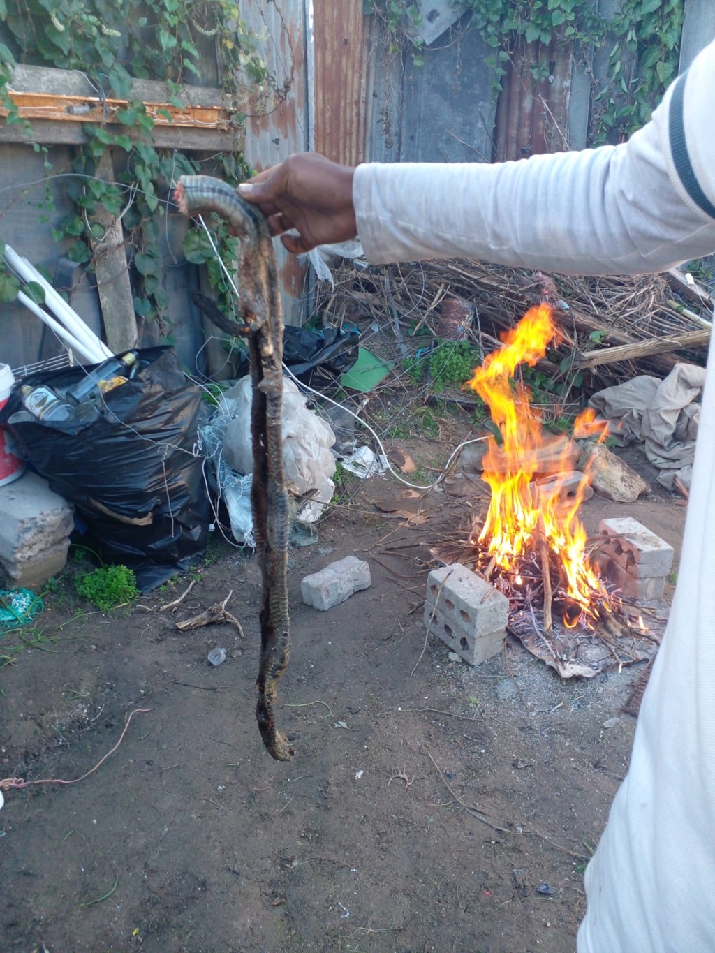 Residents roasted and ate a python after they killed it. Photo by Lulekwa Mbadamane