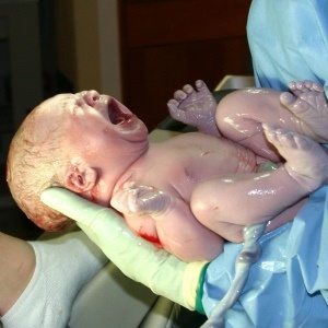 Newborn baby - Google Free Images