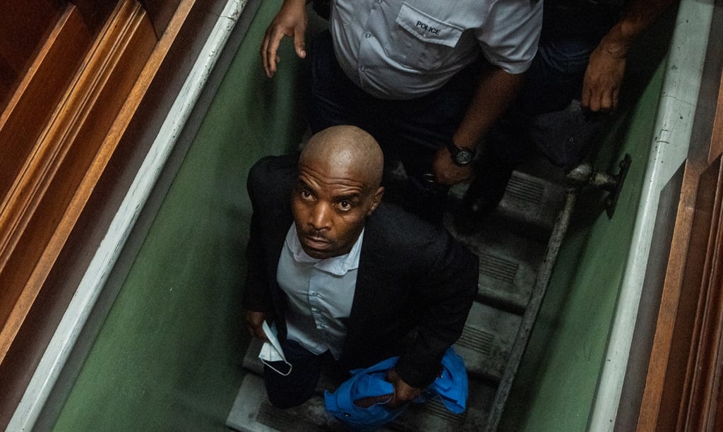 Parliament fire: Zandile Mafe's bail hearing postponed by a week - News24