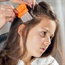 Everything you need to know about head lice