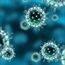 H7N9 bird flu triggers dangerous immune response