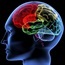 Brain scans may predict criminal behaviour