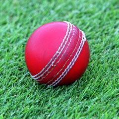 Cricket ball (File)