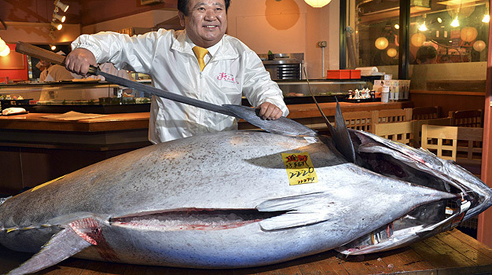 ÎÏÎ¿ÏÎ­Î»ÎµÏÎ¼Î± ÎµÎ¹ÎºÏÎ½Î±Ï Î³Î¹Î± tuna fish 2 million