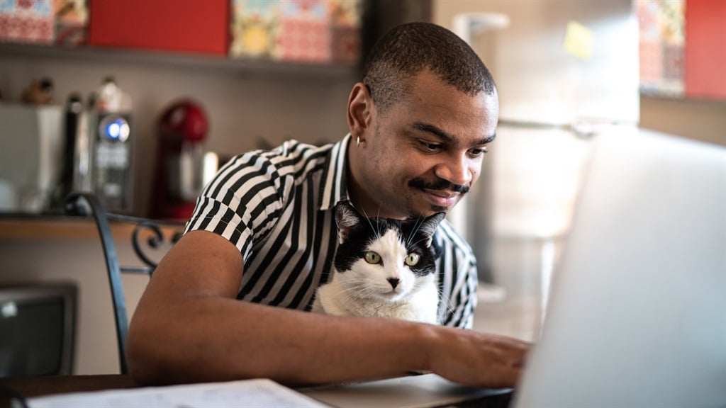 Man working at home with his domestic cat