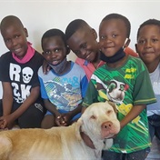 5 boys who rescued abandoned Labrador rewarded with special surprise over Easter