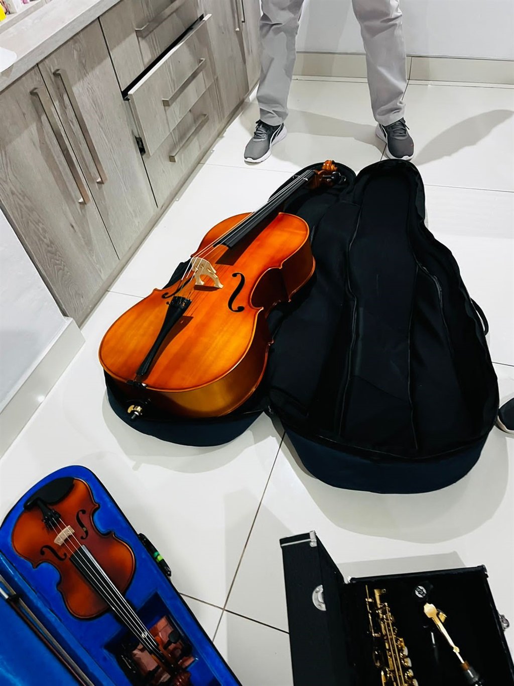 High-end violins in cases seized by NPA